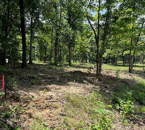 4th image of 1017 Cedar Flats Rd
