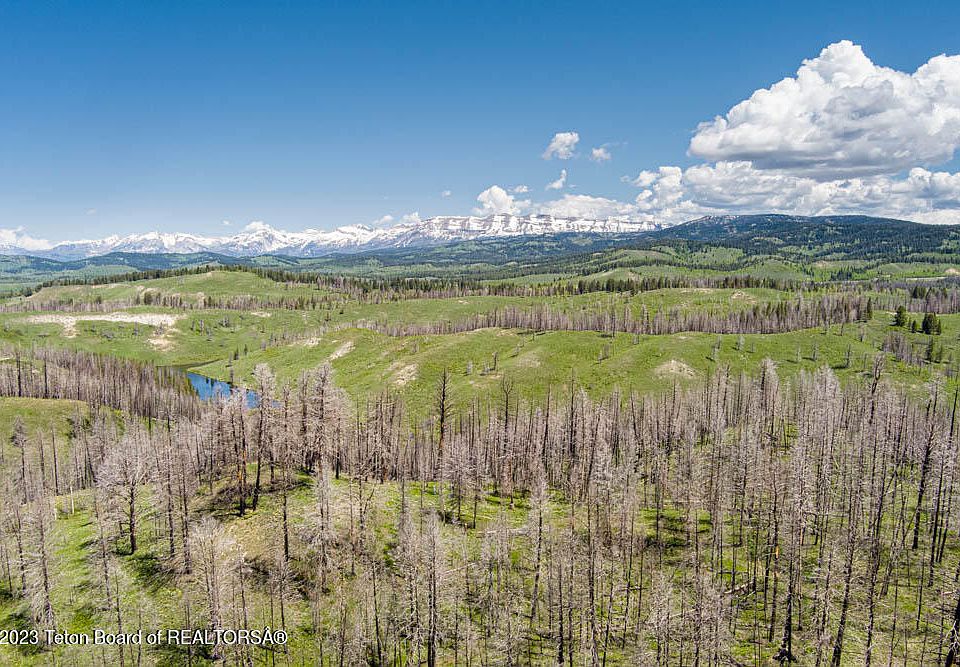 1st image of Forest Dr