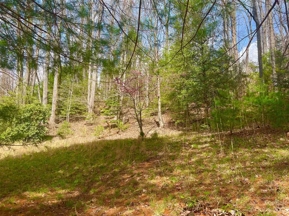 0 Old Macedonia Rd, Saluda, NC 28773