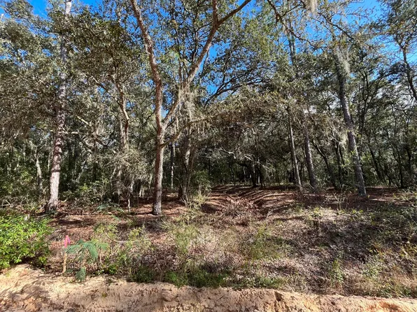 Tbd S Cooper Lake Street, Interlachen, FL 32148