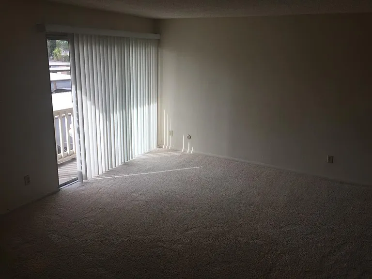 559 E Madison Ave E #110 — Photo 6