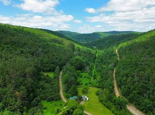 5111 McMaster Rd, Cameron, NY 14819