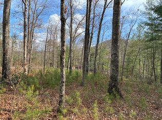 0 Mountain Ash Way, Sevierville, TN 37876