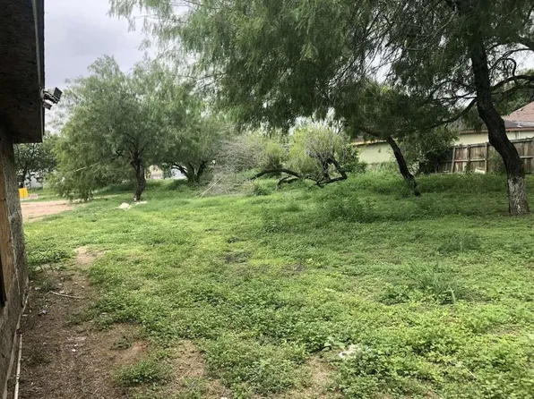 1118 Esparanza St, Alamo, TX 78516