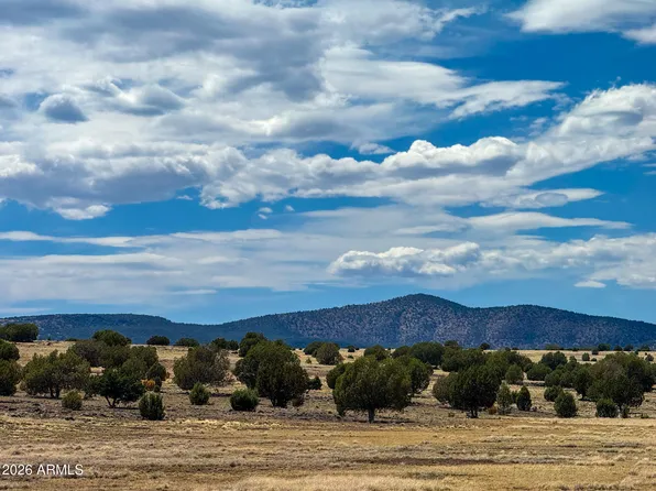 0 W Mile High Rd Lot A 10 Acres -- #84, Ash Fork, AZ 86320