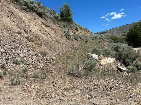 Agency Creek Rd, Tendoy, ID 83468