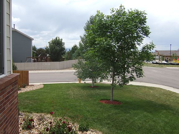 Front Yard