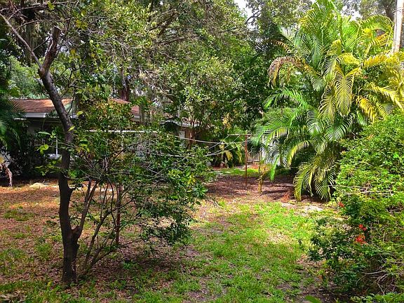 Back yard