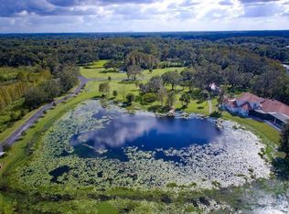 309 Grande Grove Ct, Lutz, FL 33549