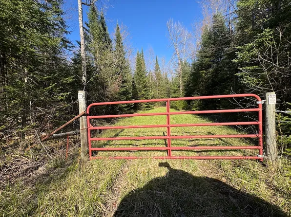 LOT 13 Wildwood Rd, Alger, MI 48610