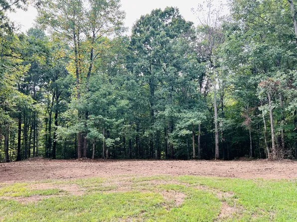 0 Mayne Trace Rd, Waverly, TN 37185