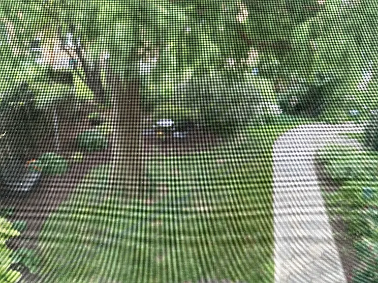 View outside bedroom window looking out over the back yard - for use of everyone living in apartment building