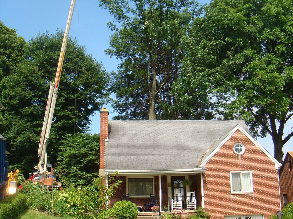 Front of House. We were having the oak tree removed