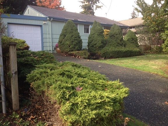 Driveway and garage