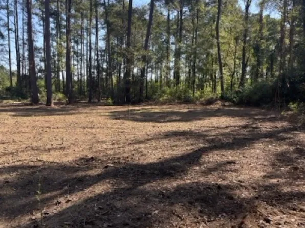 Jh Jenkins Ln, Denham Springs, LA 70706