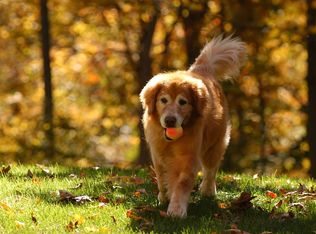 18 Hull Pl, Ridgefield, CT 06877