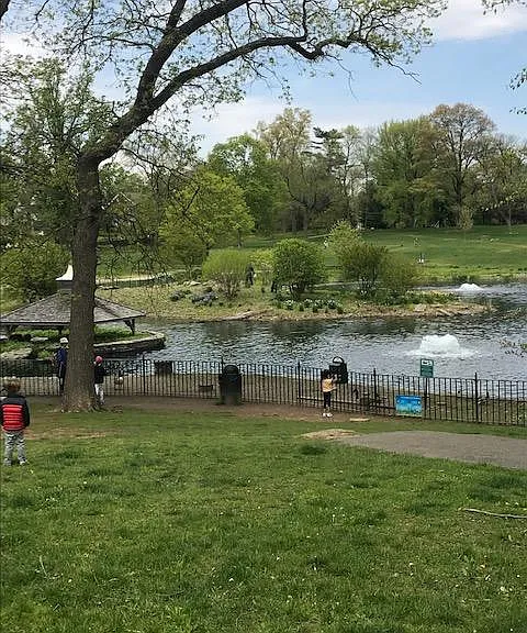 Rye Town Park Duck Pond