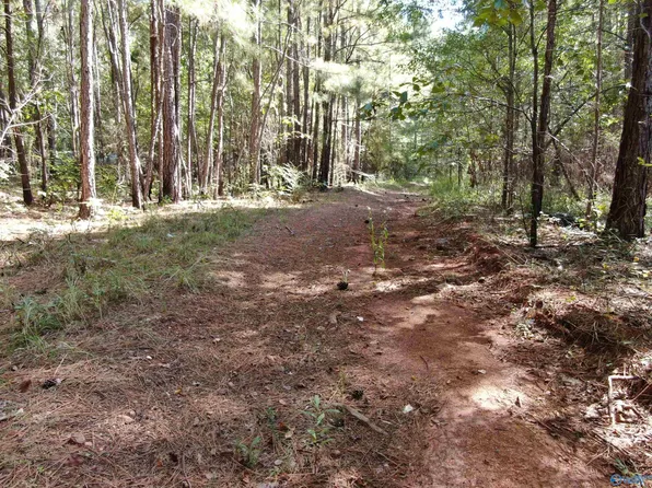 Dill Cir, Talladega, AL 35160