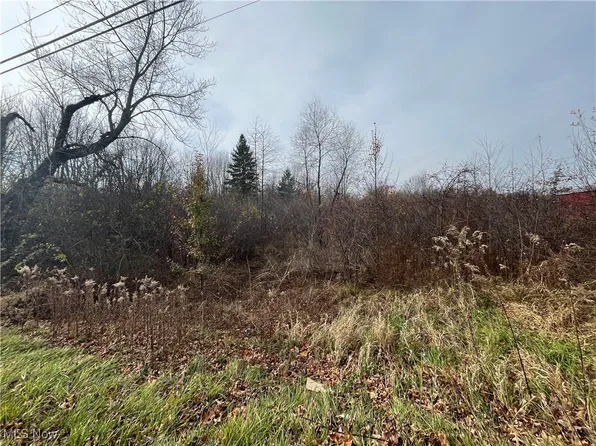 4421 N Myers Rd, Geneva, OH 44041