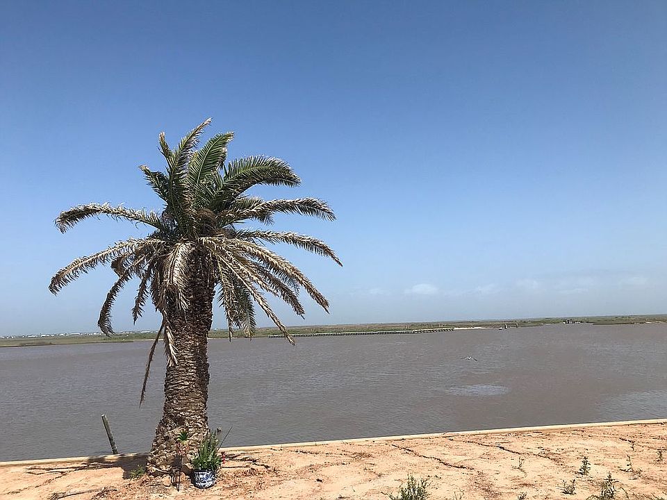 579 County Road 230, Sargent, TX 77414 Zillow