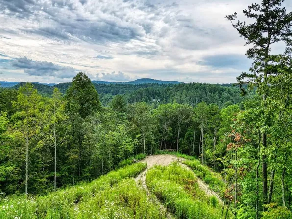 58AC Ross Dr, Mineral Bluff, GA 30559