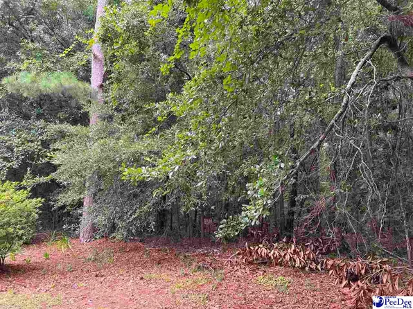 Lynwood Dr, Johnsonville, SC 29555