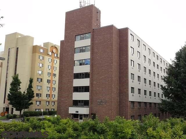 Main View