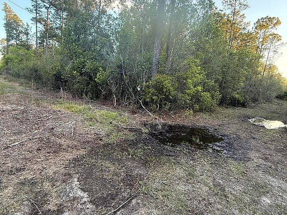 3rd image of 13816 Forts Lake Rd