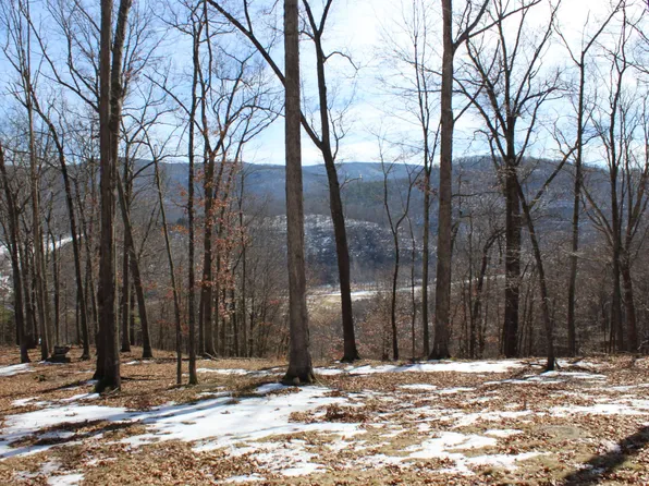 Dogwood Ln, Monterey, VA 24465