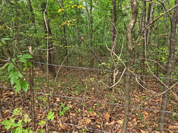 0 Old Pinhook Rd, Smithville, TN 37166