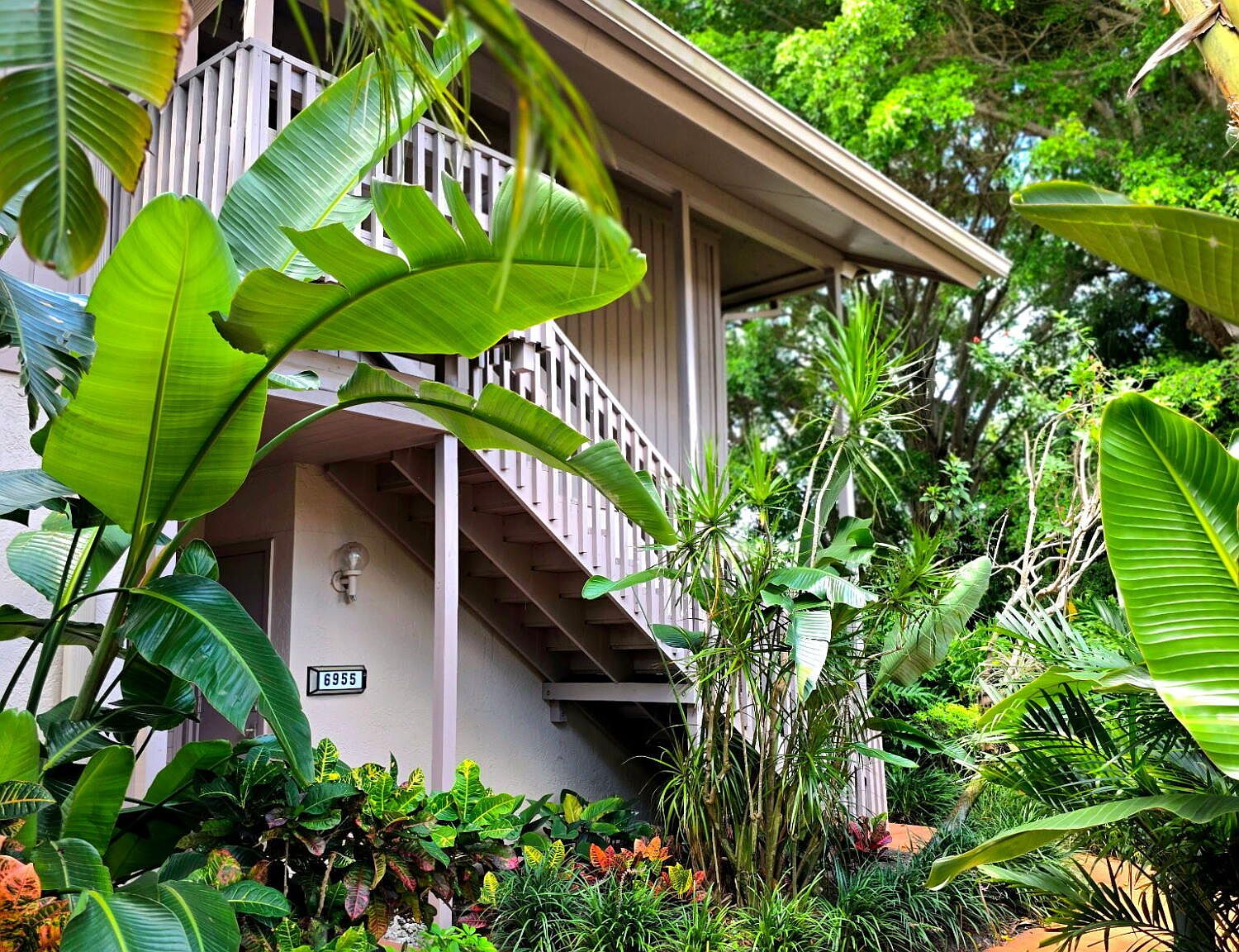 6957 Rain Forest Drive #E 4 U