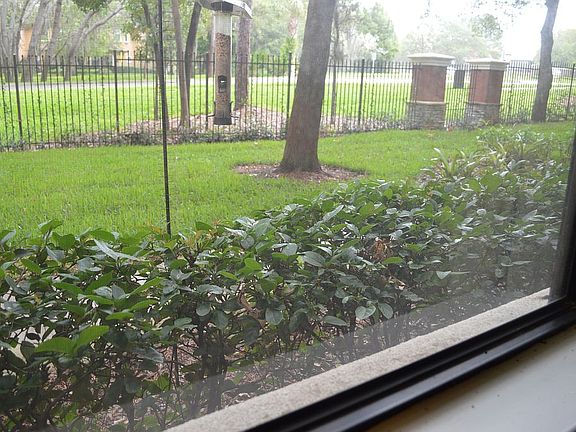 view from Solarium to Right