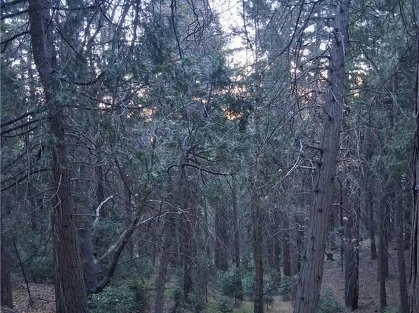 0 Reservoir Rd Lot 72, Cedarpines Park, CA 92322
