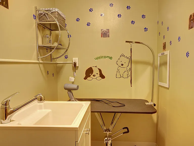 Dog Wash Room