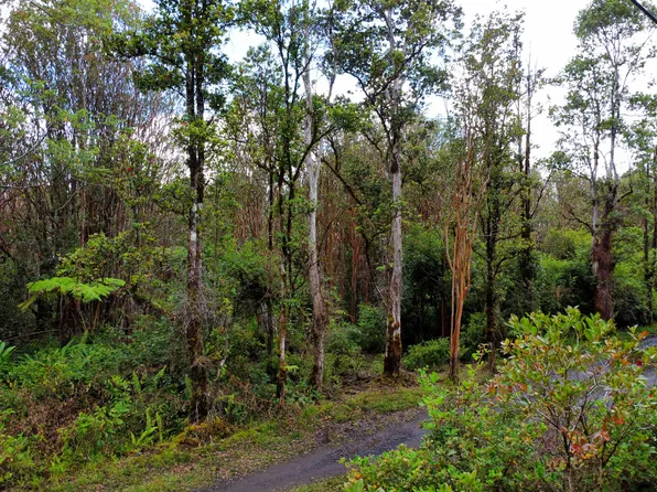 Road 9, Volcano, HI 96785