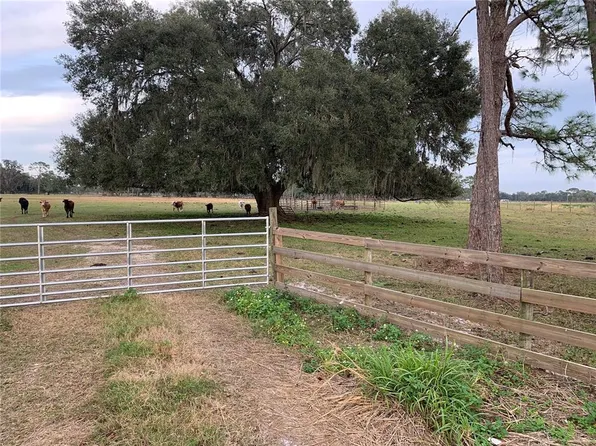 County Road 469, Center Hill, FL 33514