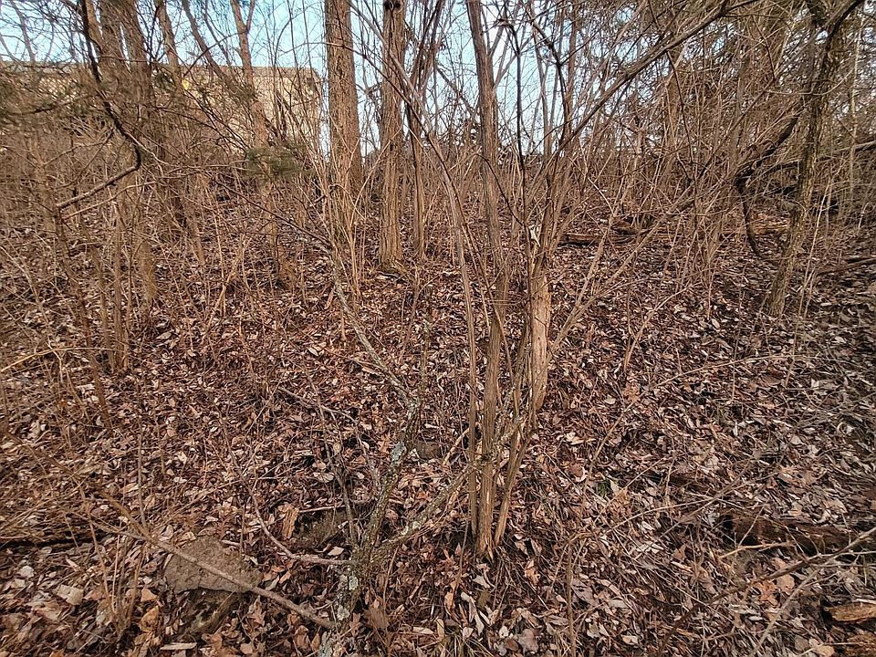 2nd image of LOT 6-1 16th #2-3-7