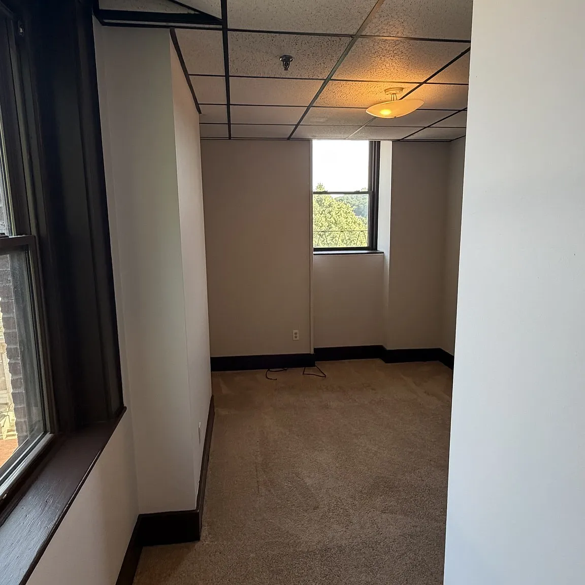 1 bed, $1,650 — Photo 2