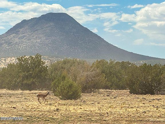 3rd image of 0 W Mile High Rd Lot A