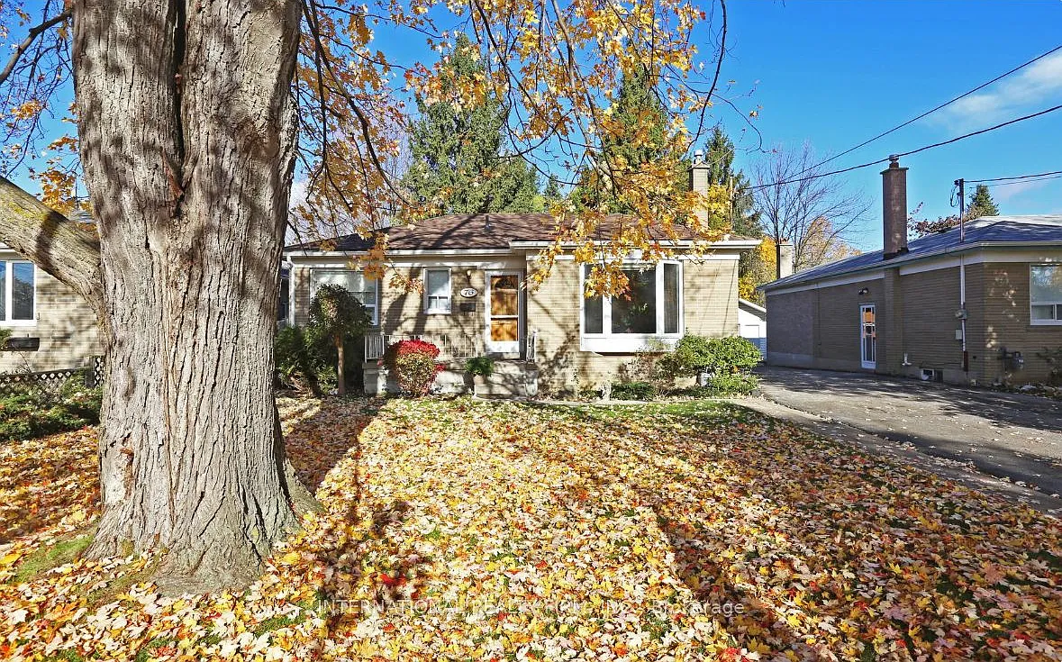 2 bed, $1,550 — Photo 1