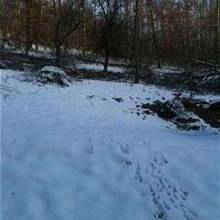 2nd image of 422 Adams Rd