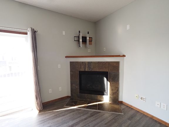 Working fireplace with TV mount to stay for renter. Also willing to take mount down if not desired.