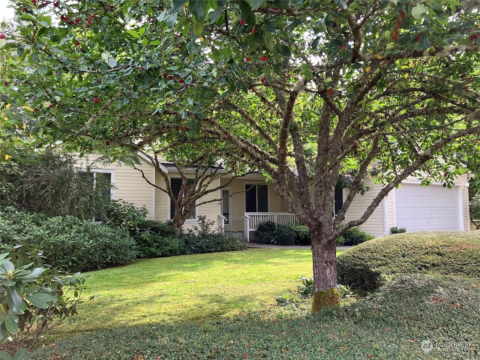 10017 SW 184th Way photo 1