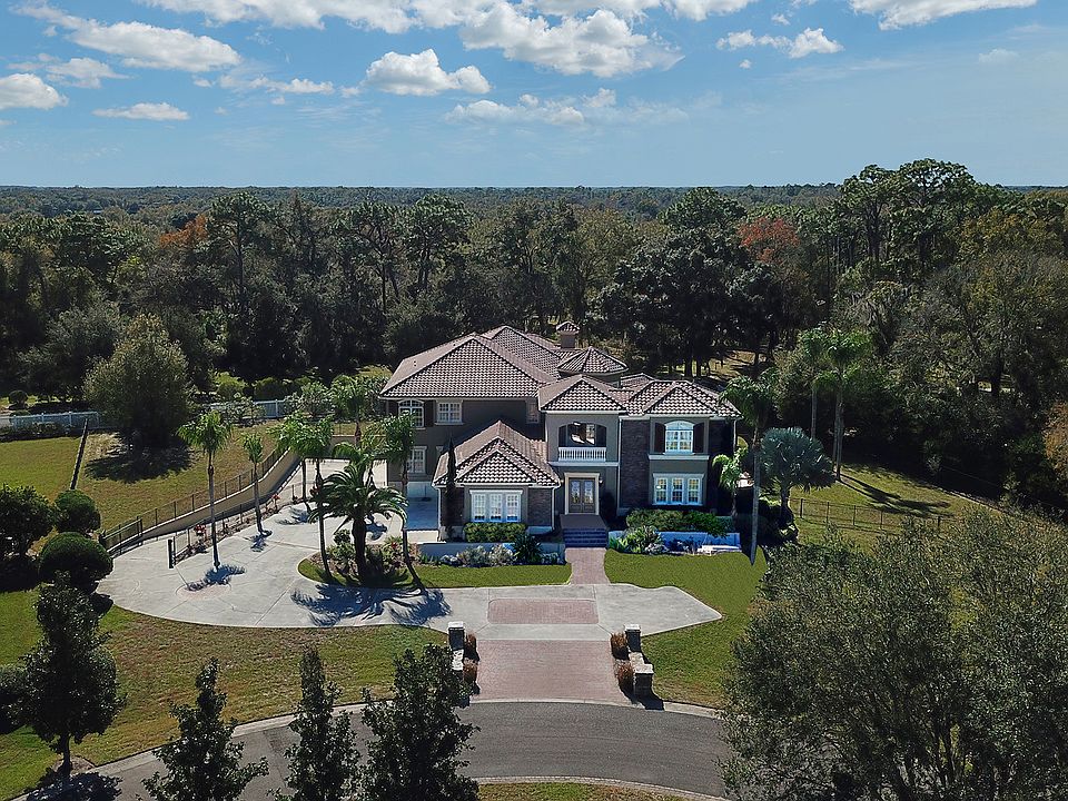 8610 Dolce Vita Ln, Odessa, FL 33556 Zillow