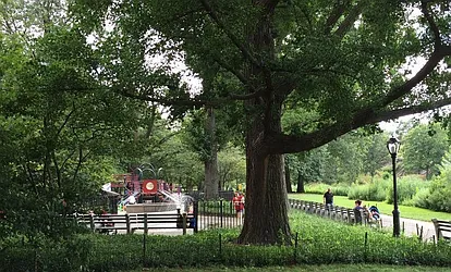 Rented by Bold New York