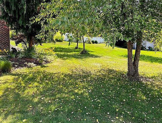 Beautiful landscaped side yard