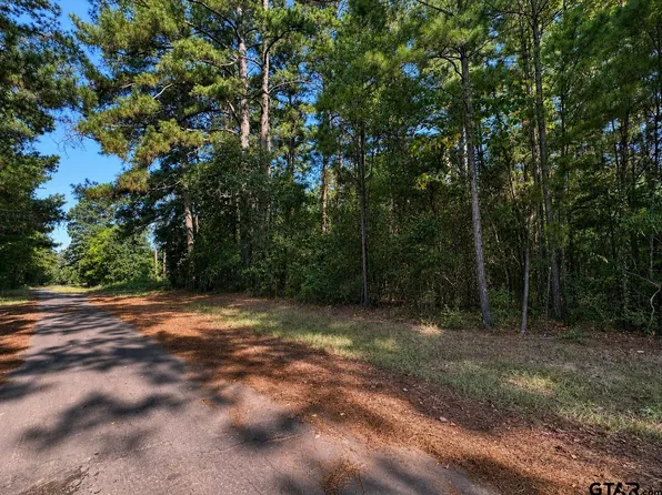 County Road 2150, Quitman, TX 75783