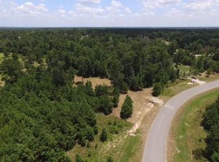 363 Meadowview Ct, Montgomery, TX 77316