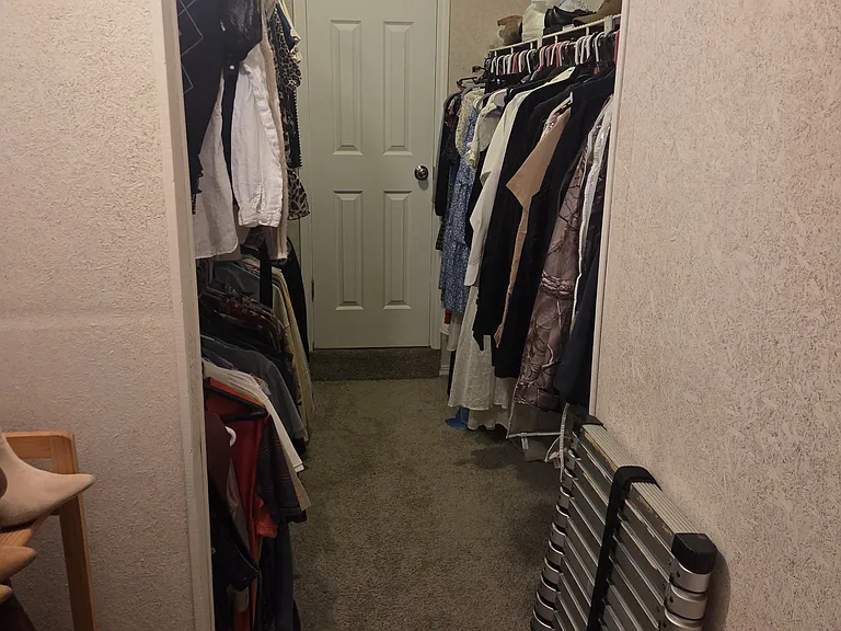 Master closet facing bedroom