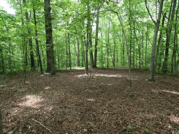 5671 Pinewood Rd, Franklin, TN 37064